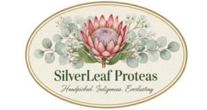 Silver Leaf Proteas